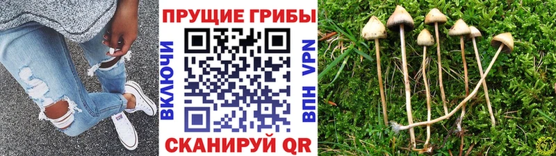 Галлюциногенные грибы MAGIC MUSHROOMS hydra ссылка Югорск