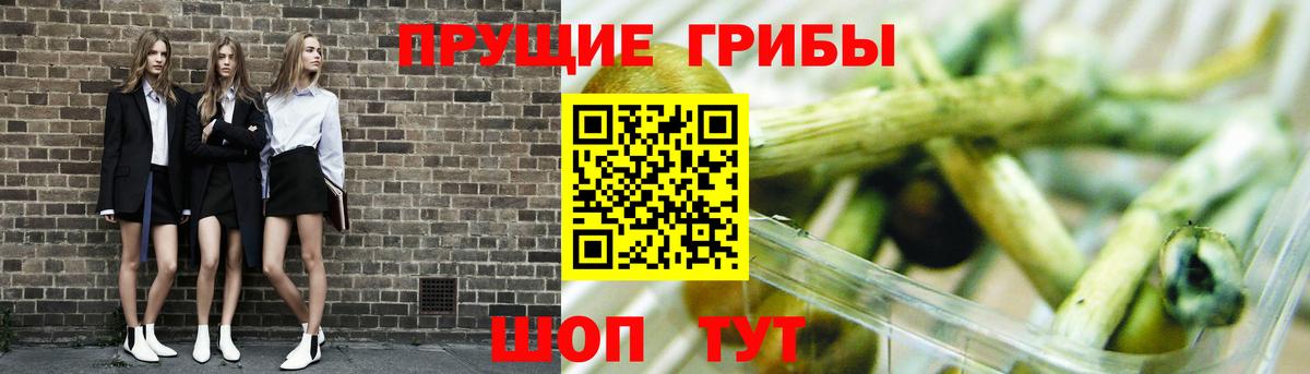 Галлюциногенные грибы Psilocybine cubensis  Вход с VPN  Псилоцибиновые грибы GOLDEN TEACHER  Югорск 